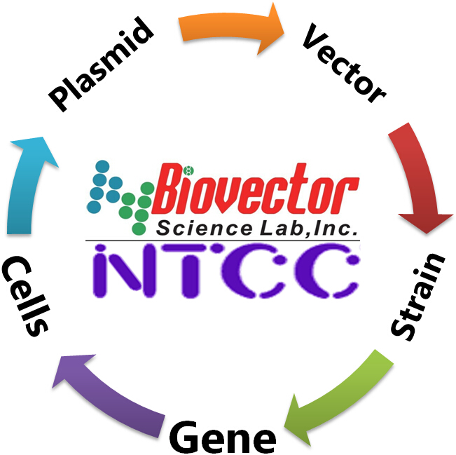 Biovector NTCC质粒载体菌种细胞基因保藏中心目录