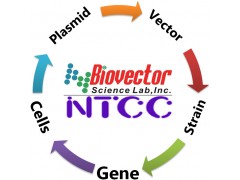 Biovector NTCC质粒载体菌种细胞基因保藏中心目录