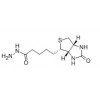 华腾现货供应 生物素酰肼  66640-86-6