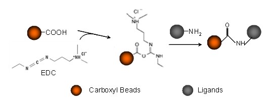 氧化硅羧基磁珠应用原理