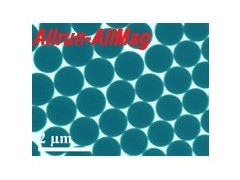 Allmag®超顺磁性氧化硅纳米微球（羧基）图1