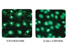 MP公司核酸提取\蛋白纯化、RNA提取试剂盒图1