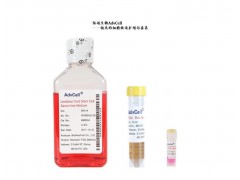 AdvCell® 脐带干细胞血清培养基图1
