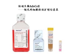 AdvCell®  脐带干细胞无血清培养基图1