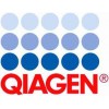 Qiagen 粪便DNA快速提取试剂盒