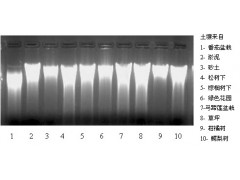 MP土壤DNA试剂盒图2