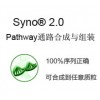 泓迅Pathway通路合成与组装——高效快速组装