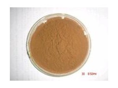 苦荞麦提取物原料|食品级 厂家 18930710487图1