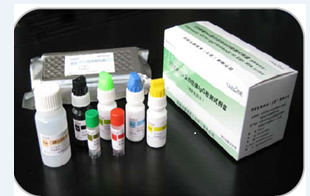 赖脯胰岛素（Lispro-INS）定量检测试剂盒（ELISA）