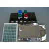 人红细胞生成素(EPO)ELISA试剂盒低价