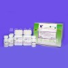 精浆γ-谷氨酰转肽酶（GT）检测试剂盒（化学比色法）