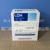 乳酸脱氢酶（LDH）测定试剂盒