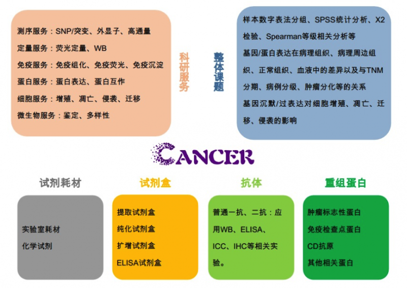 肿瘤实验图片