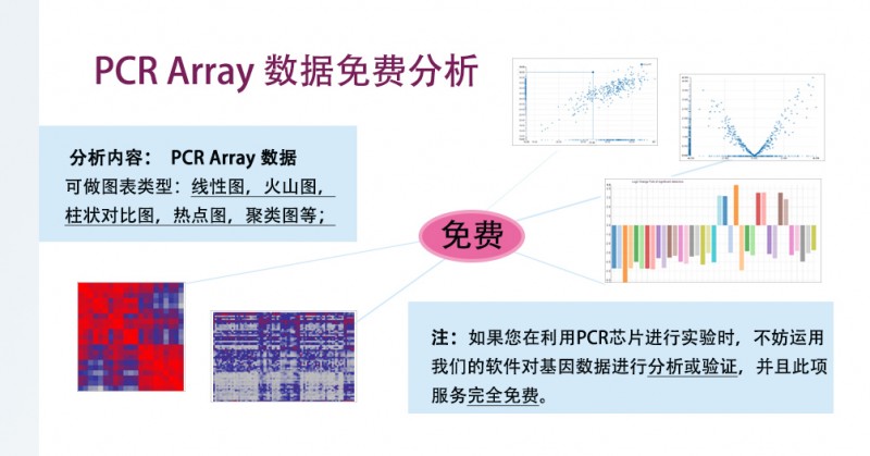 PCR array数据分析
