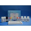 粘菌素酶联检测试剂盒，高灵敏度