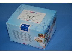 黄曲霉M1快速检测试剂盒厂家现货图3