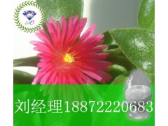 二聚巯基丙酮厂家价格，二聚巯基丙酮有货，二聚巯基丙酮湖北厂家图2