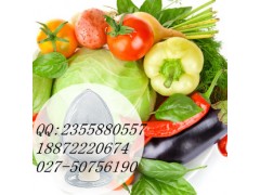 替硝唑_CAS号,用途,工艺,物化性质_化工词典,CAS no查询图3