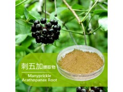 刺五加提取物 刺五加苷B+E 0.8% 1.2% 1.5%图1