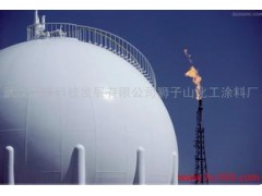 无溶剂环氧重防腐涂料  厂家现货直供图2