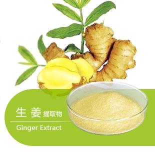 生姜提取物