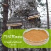 白桦茸提取物   白桦茸多糖