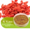 枸杞子提取物厂家直销