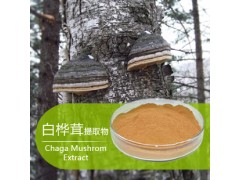 白桦茸提取物   白桦茸多糖