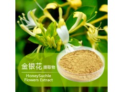 供应高含量金银花提取物 027-50756179