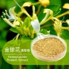 供应高含量金银花提取物 027-50756179