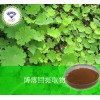 博落回提取物