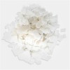 硝酸铜  现货供应 厂家直销 发货快 量少可发 价格面谈