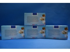 四环素酶联免疫试剂盒厂家特价图2