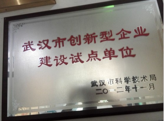 武汉市创新企业