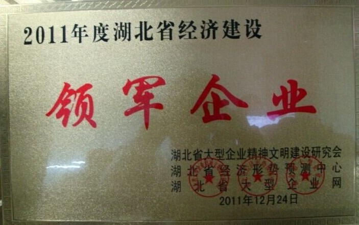 湖北省经济建设领军企业
