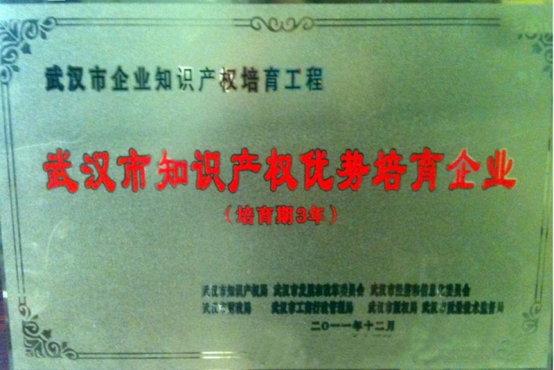 武汉市知识产权优势培育企业