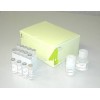PCR产物纯化磁珠试剂盒