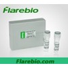 NTH1抗体HRP conjugated|www.flarebio.cn