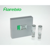 TTF1 antibody|TTF1抗体 FITC www.flarebio.cn