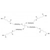 4-Arm PEG-GA四臂聚乙二醇戊二酸