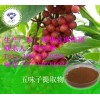 五味子提取物价格及用途