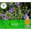 黄芩苷医药级植物提取物厂家低价销售