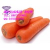 β-胡萝卜素粉天然食品添加剂武汉远成低价销售