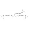 八臂聚乙二醇丙烯酰胺酯8-Arm PEG-Acrylamide