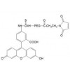 荧光素-聚乙二醇-马来酰亚胺FITC-PEG-Mal