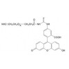 FITC-PEG-NH2 氨基-聚乙二醇-荧光素