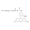 FITC-PEG-SH 硫醇-聚乙二醇-荧光素
