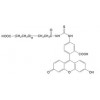 华腾生物供应FITC-PEG-COOH 荧光素-聚乙二醇-羧酸