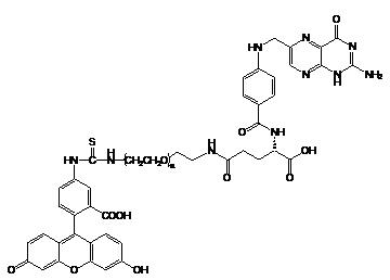 FITC-PEG-FA 荧光素-聚乙二醇-叶酸
