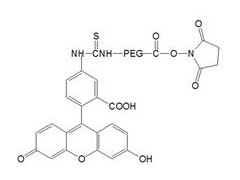 FITC-PEG-NHS 荧光素-聚乙二醇-琥珀酰亚胺碳酸酯图1